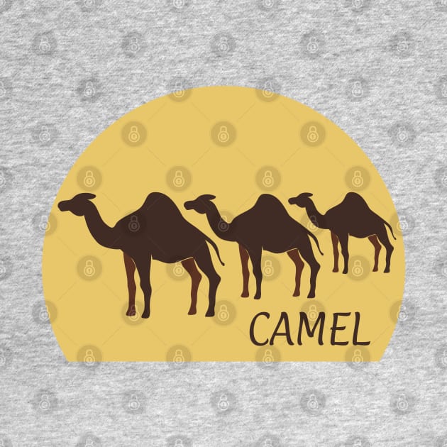 Camel by Madhur